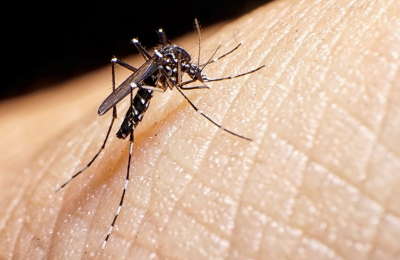 La ingesta de agua y alimentos es fundamental en la recuperación del dengue