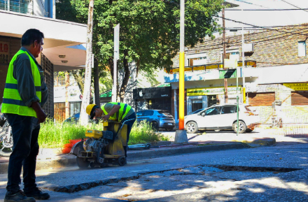 bache2.jpg