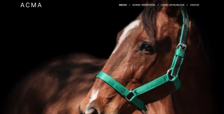 caballos-baradero3.jpg