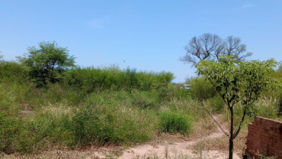 Femicidio en Pampa del Infierno: mataron a una joven y buscan a su expareja