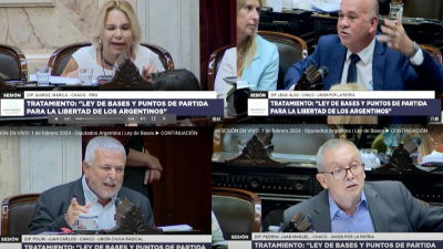 Ley ómnibus: cuatro de los siete diputados chaqueños darán respaldo en general