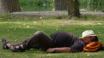 siesta.jpg