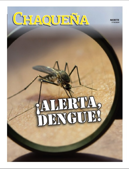 ¡Alerta, dengue!
