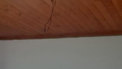 Cada vez peor, otro robo a una escuela