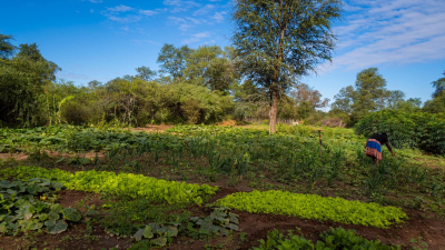 "Se deja de acompañar al principal productor de alimentos del país"