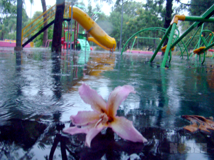 lluvia16.jpg