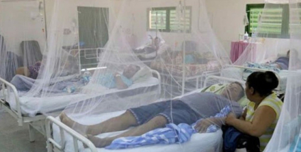 Paraguay dengue.jpg
