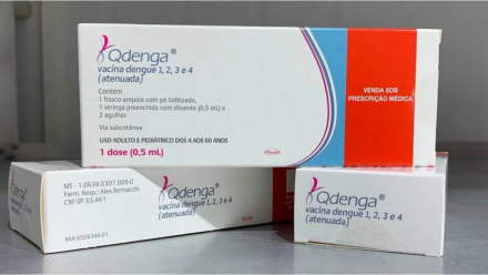 dengue3.jpg