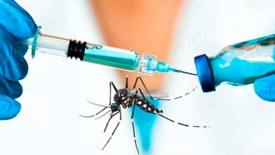 Corrientes lanzó la campaña de vacunación contra el Dengue
