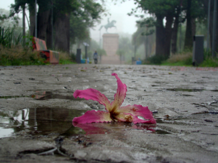 FOTO12.jpg