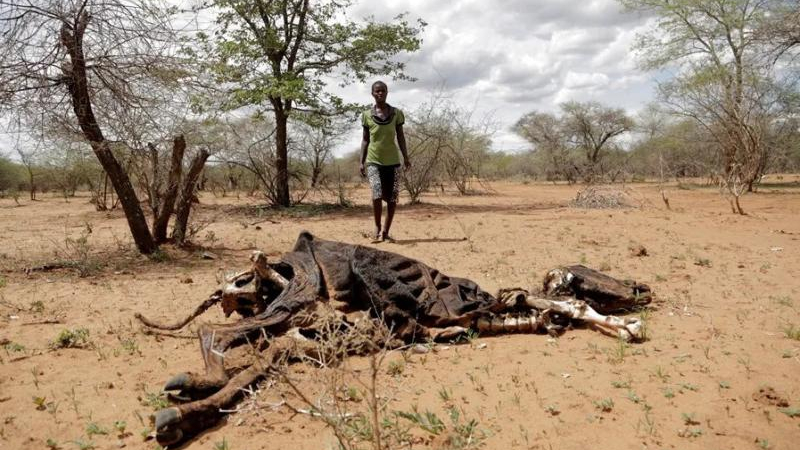 Fuerte advertencia sobre un futuro abrasador por el cambio climático