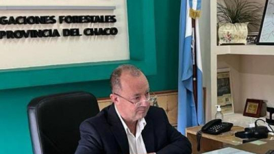 Respuesta del IIFA a productores industriales y forestales