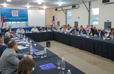 El Chaco en el comité de crisis de lucha contra la "chicharrita"