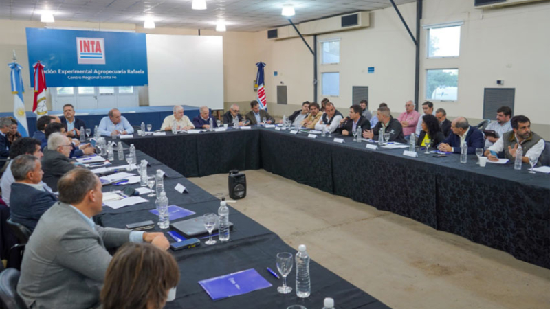 El Chaco en el comité de crisis de lucha contra la "chicharrita"