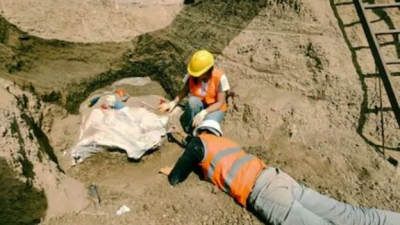 Operarios descubrieron restos de un Perezoso Terrestre Gigante