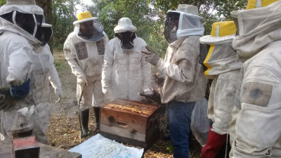 Impacto negativo dejó el clima en la producción de miel en el Chaco