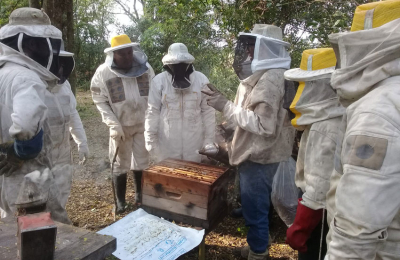 Impacto negativo dejó el clima en la producción de miel en el Chaco