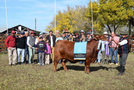 16-R-161-Reservado-Gran-Campeón-Hembra-de-cabaña-Santa-Lucía.jpg