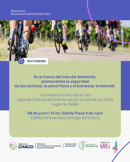 bicis.jpg