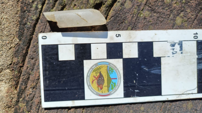Hallazgo arqueológico en Parque Federal Campo San Juan: investigan el origen de fragmentos cerámicos dentro del área