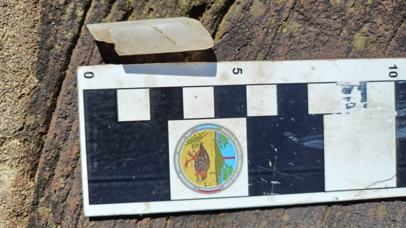 Hallazgo arqueológico en Parque Federal Campo San Juan: investigan el origen de fragmentos cerámicos dentro del área