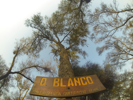 GANCEDO90.JPG