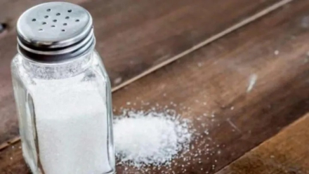 salero.jpg