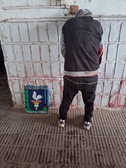 molina.jfif