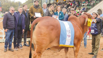"Cada vez que le va bien al campo, le va bien al Chaco", dijo Zdero