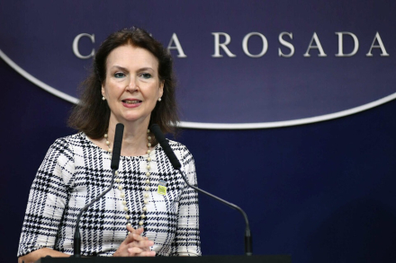 imagen - copia.JPG