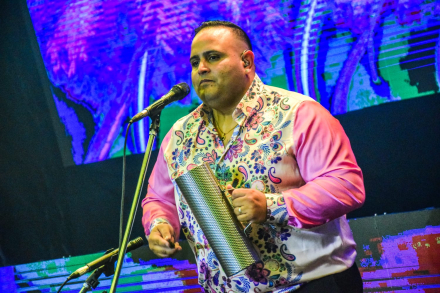 palmeras7.jpg