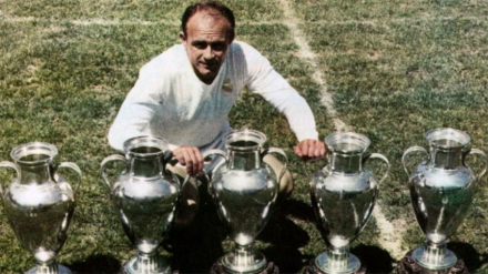 distefano.jpg