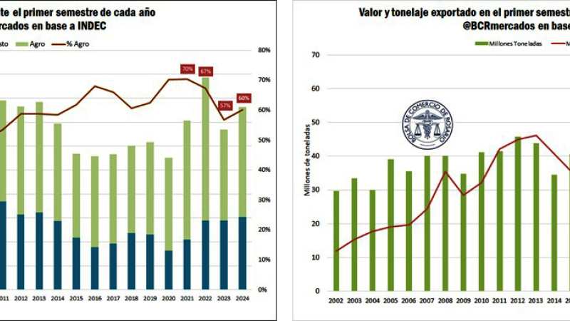 A pesar de la caída de precios internacionales, el agro generó el 60% de las exportaciones de 2024