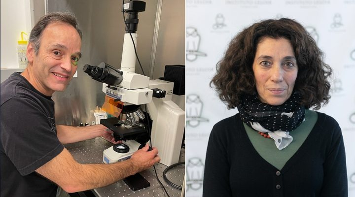Horacio de la Iglesia, de la Universidad de Washington (EEUU), y Fernanda Ceriani, de la Fundación Instituto Leloir, son dos de los autores del estudio..jpg