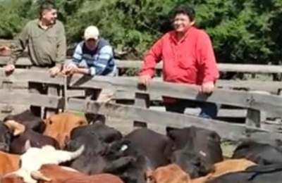 Se analiza el rol de diversos órganos públicos, entre ellos la Fiscalía de Estado