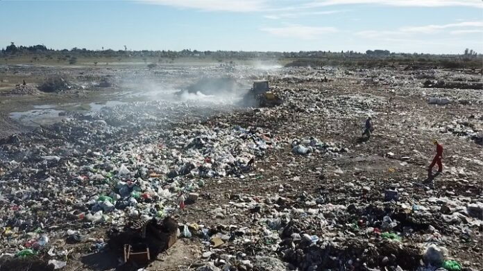 absurales.jpg