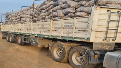 La crisis del carbón vegetal, entre la falta de políticas y la desesperación de productores