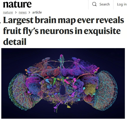nature_fruit_fly.jpeg