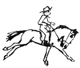al galope.jpg