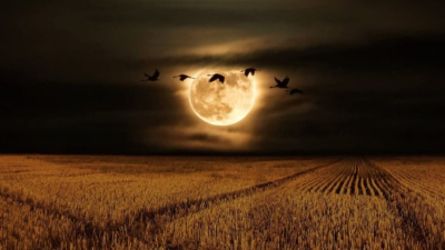 Superluna llena de octubre 2024: conoce su significado espiritual