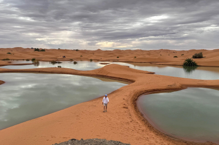 desierto3.jpg