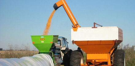 silo bolsa.jpg