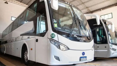Empresa de turismo pagó una millonaria multa por atropellar a un yaguareté