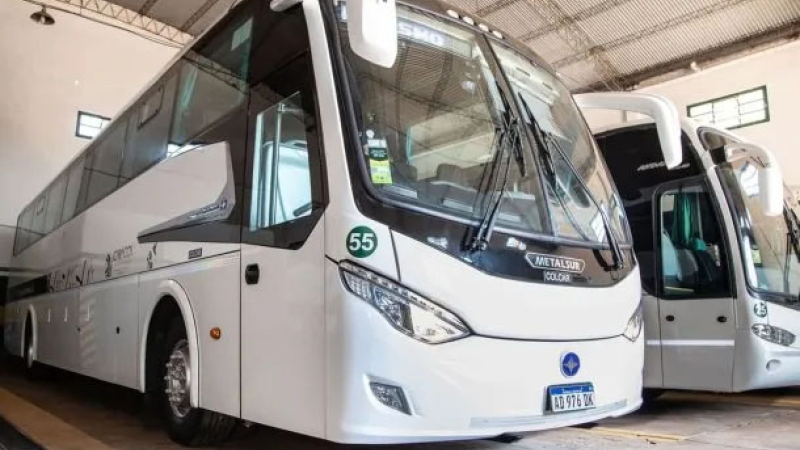 Empresa de turismo pagó una millonaria multa por atropellar a un yaguareté