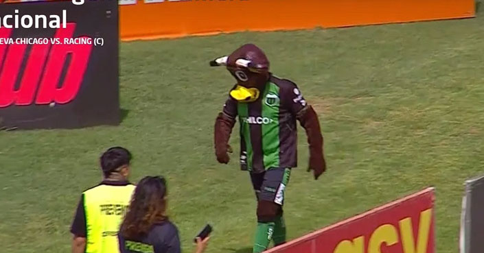 mascota.jpg