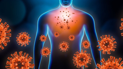 "Los humanos somos una especie de puzzle construido por los virus"