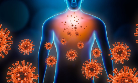 virus y cuerpo humano.jpg