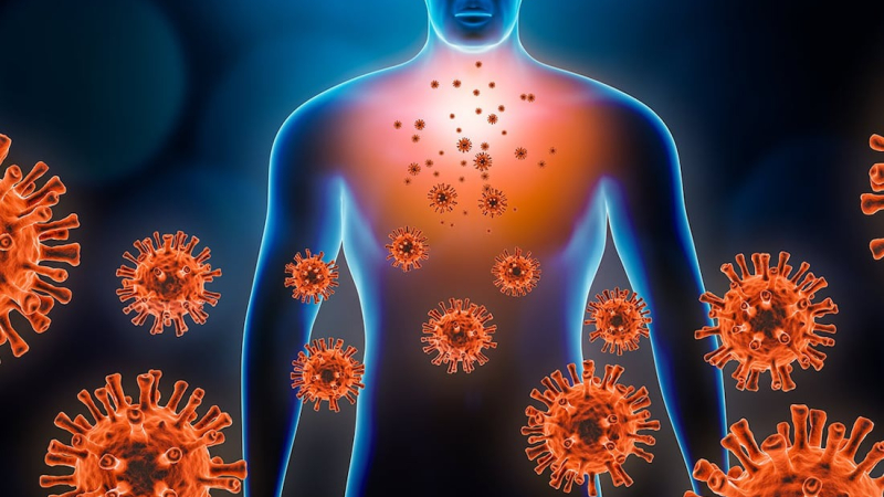 "Los humanos somos una especie de puzzle construido por los virus"