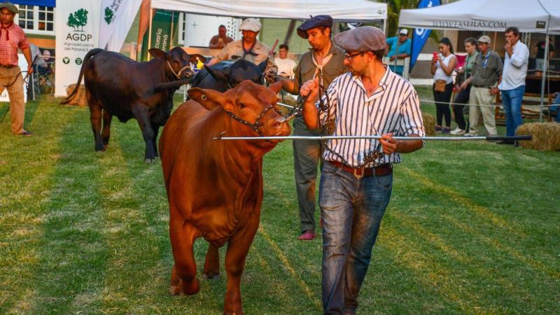 San Martín: acompañamiento a la Expo Primavera Brangus 2024
