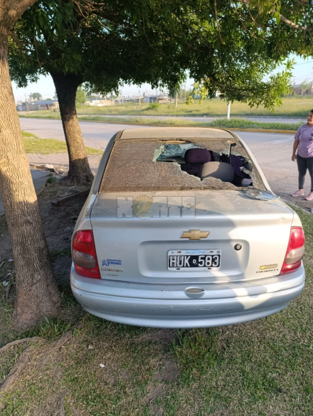 palos dos.jpg